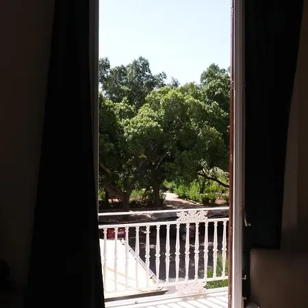 Belvedere Guest house